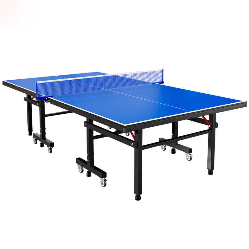 Table Tennis Training - Mesa de Tenis de Mesa Profesional