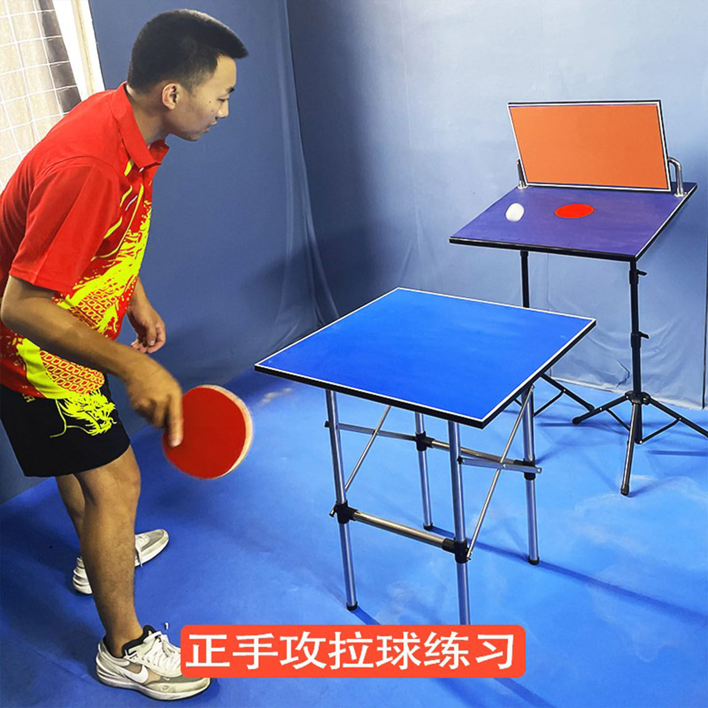 Tablero de rebote para entrena - Table Tennis Training reseña y precio