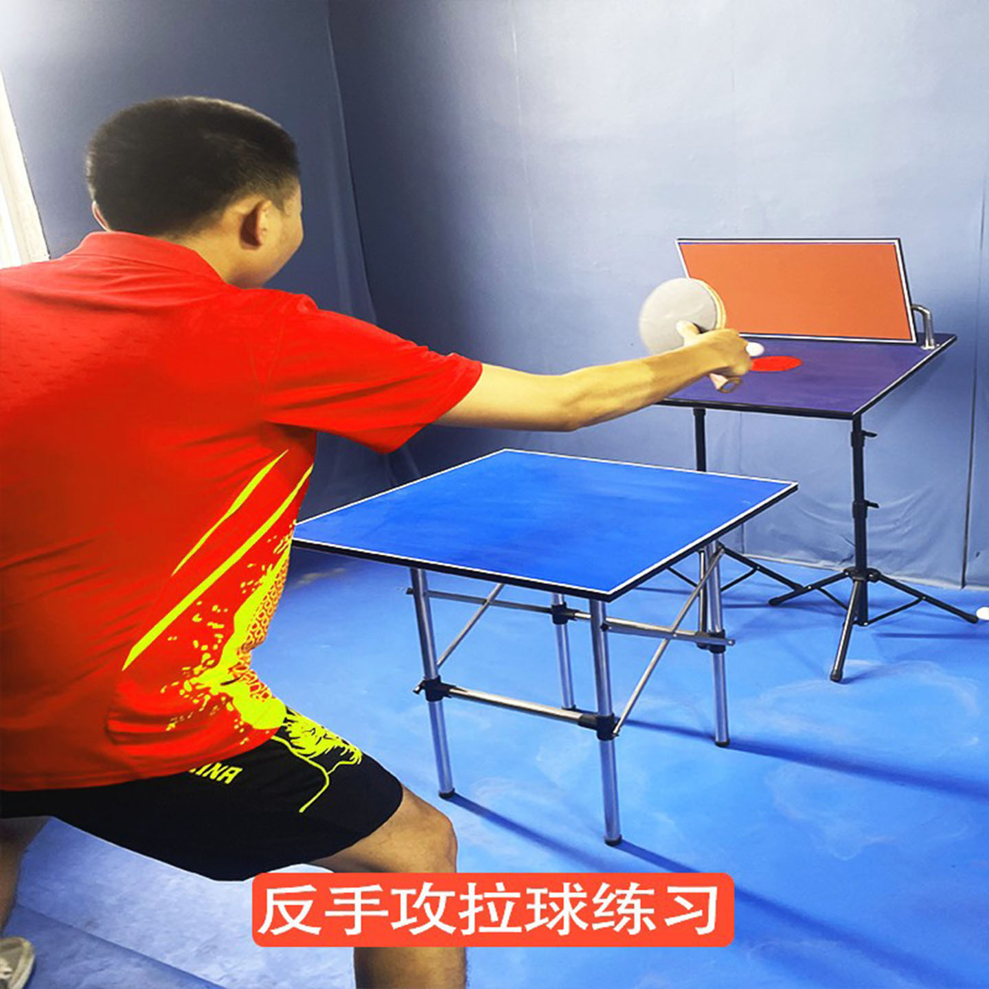 Tablero de rebote para entrena - Table Tennis Training reseña y precio
