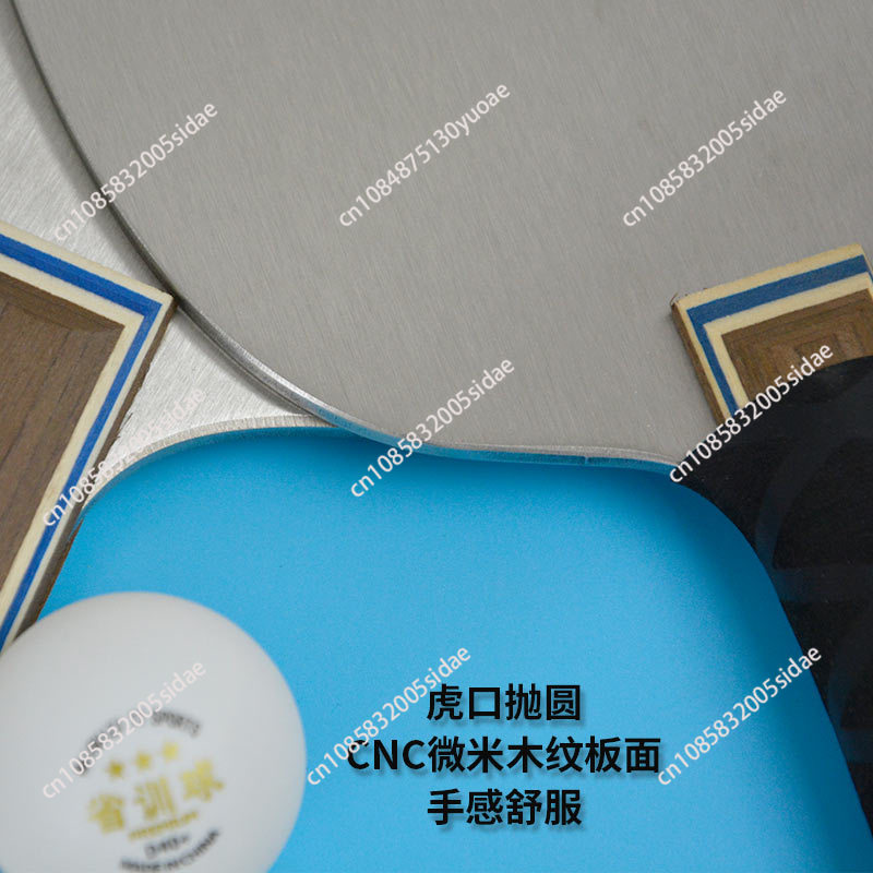 Raqueta de Tenis de Mesa de Me - Table Tennis Training reseña y precio